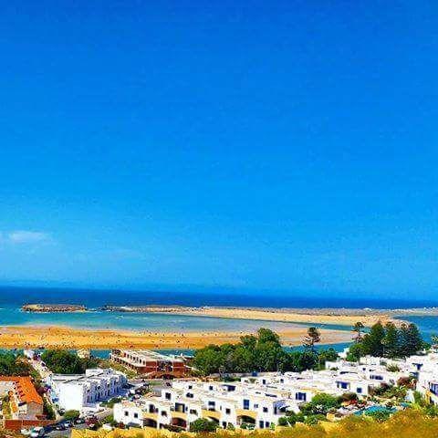 الوالدية Thalassa المظهر الخارجي الصورة